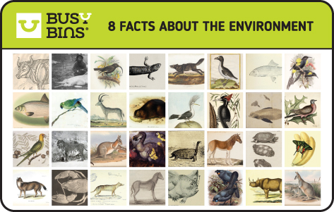8 Facts about the Environment. Animal Extinction caused by humans. 32 anatomical, scientific artists drawings of animals that that have become extinct due to humans.